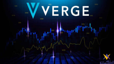 ارز XVG