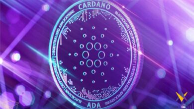 کیف پول های cardano